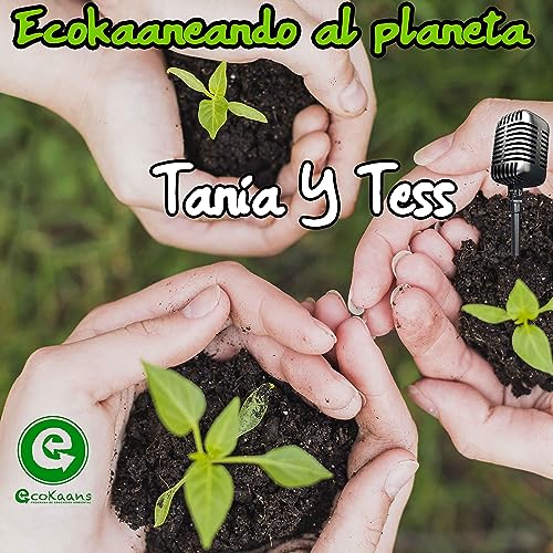 Ecokaaneando al planeta: Arqueologia con Ecokaans