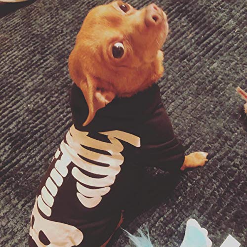 Sudadera disfraz Halloween para perros XL miniatura 6