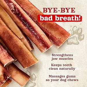 Natural Farm Odor Free Jumbo Bully Sticks 6 Inch 12 Pack Extrathick Dog Treats  Fully Digestible 100 Beef Treats Natural Dental Chews  Keep Your Dog Busy with 50 Longer Lasting Chews  Cucciolini Doodles Natural farm odor free jumbo bully sticks 6 inch 12 pack extra thick dog treats  fully digestible 100 beef treats natural dental chews  keep your dog busy with 50 longer lasting chews   cucciolini doodles