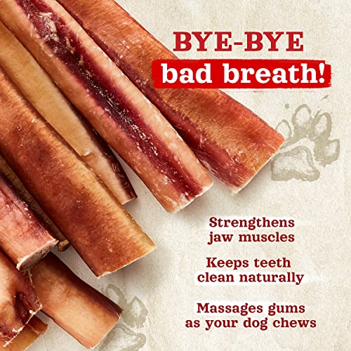 Odor-Free Jumbo Bully Sticks for Dogs (6 Inch, 12 Pack) – Extra-Thick, 100% Beef Dental Chews for Lasting Enjoyment