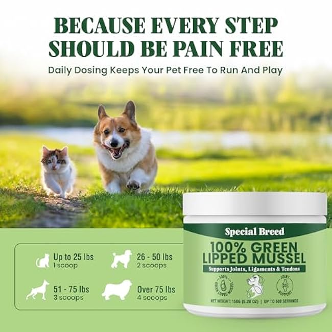 Green Lipped Mussel Powder for Dogs & Cats - 100% New Zealand Green Lipped Mussels - Natural Hip & Joint Supplement for Joints, Tendons, Ligaments, Muscles - 150 Grams - Up to 500 Servings-PAREOw8y