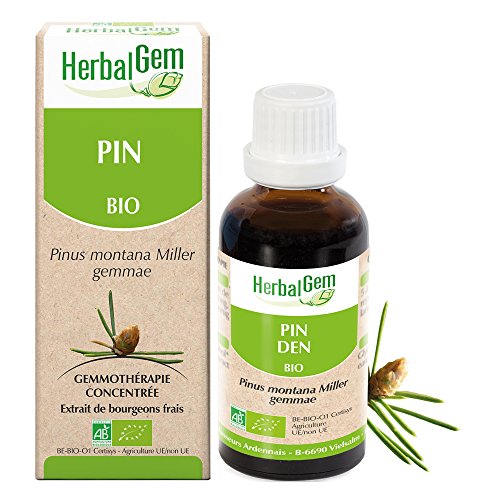 HERBALGEM - Macérât-Mère - Pin des Montagnes Bio - Complément Alimentaire Gemmothérapie Concentrée - Extrait De Bourgeon Frais - Pour Voies Respiratoires & Santé Des Os - Vegan - 30 ml