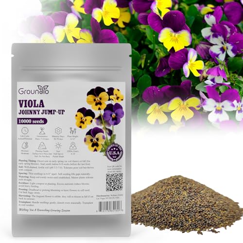 Groundio Johnny Jump Up Seeds, 10000+ Perennial Wild Violet Seeds for Planting, Edible Flowers, Non-GMO | Heirloom | Attracts pollinators, Grown in The USA