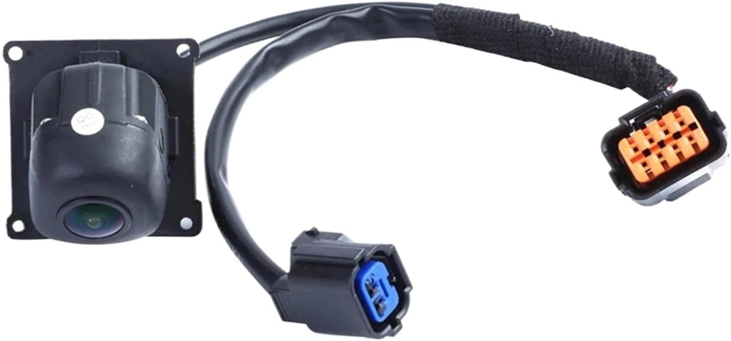 AR100種100枚まとめ売り被りなしピカチュウ、グラードン、Nのレシラム AR100種100枚まとめ売り被りなしピカチュウ、グラードン、Nのレシラム