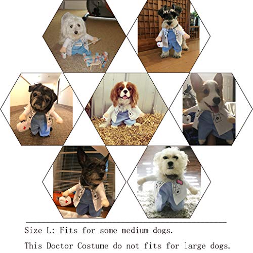Disfraz de Doctor para Perro Talla L Halloween miniatura 5