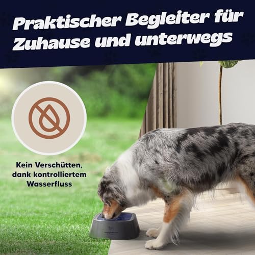 Napfgeflüster® Bella – Auslaufsicherer Wassernapf für Hunde & Katzen – 1L Anti-Schlabber Trinknapf mit Schwimmdeckel – rutschfest, Reisegeeignet & leicht zu reinigen