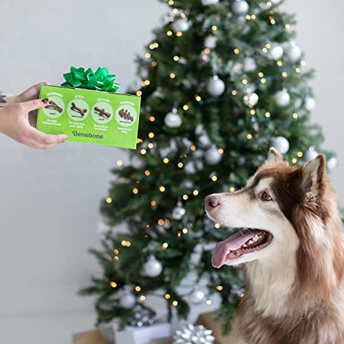 Benebone Medium Holiday 4-Pack Dog Chew Toys for Aggressive Chewers, Made in USA, 60lbs and Under - Image 5