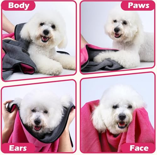 Image of D&C PAWS Ultra Absorbent Microfiber Dog Towels for Drying Dogs & Cats | Quick Dry Pet Bath Blanket, Soft & Fast Drying Grooming Towels for All Breeds (40x60cm -Multicolor B,M-Pack of 1 Pc)