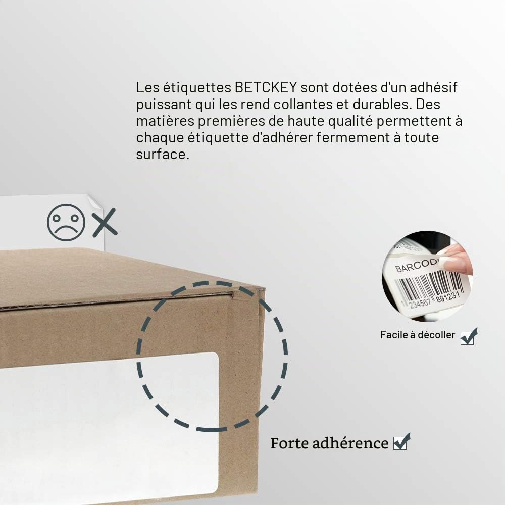 BETCKEY - 10 Rouleaux 99012 Étiquettes Compatible avec DYMO S0722400, 36mm x 89mm, 2600 Étiquettes dAdresse Pour DYMO LabelWriter 450, 4XL, NON Pour 550 ou 5XL