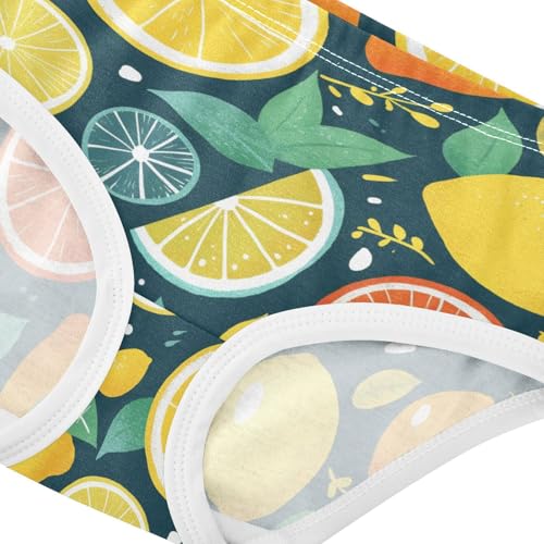 Wusikd Lemons Girls' Underwear Cotton Oranges Limes Girls Briefs Soft Toddler Underwear 2T4