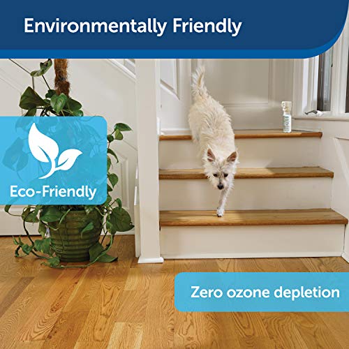 ssscat cat deterrent