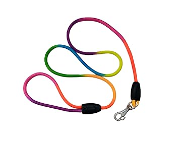 PetWag Nylon Multicolor Dog Leash for Puppy and Small Dog Breeds - 48 Inch