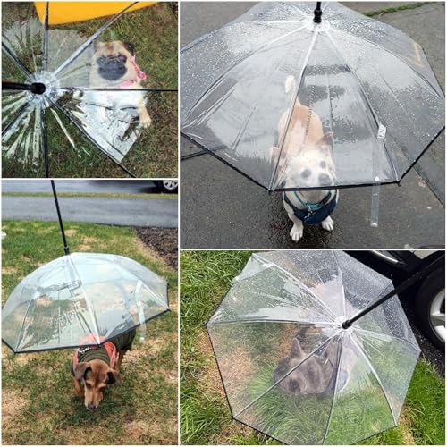 ENJOYING Regenschirm für kleine Hunde mit Leine, transparenter Regenschirm für kleine Hunde, Regenschirm für Spaziergänge, wasserabweisend, Selbstmontage