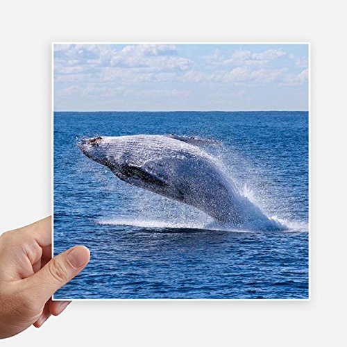 Sticker ocean pour masquer les rayures de valise et pc portable 4pcs