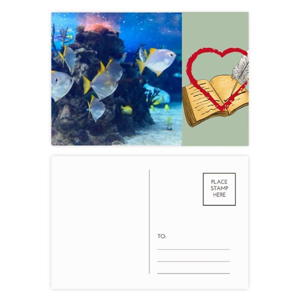 Ocean Fish Science Nature Picture Diary Day Lot de 20 cartes postales de remerciement
