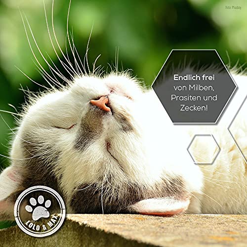 Lolo & Max - Floh- und Zeckenmittel für Katzen 100% Natürlicher Spot On - Bis zu 8 Monate Abwehr & Bekämpfung von Flöhen & Parasiten (Zecken,Milben,Läuse,Haarlinge,Wanzen) - Mittel gegen Flöhe - 40ml