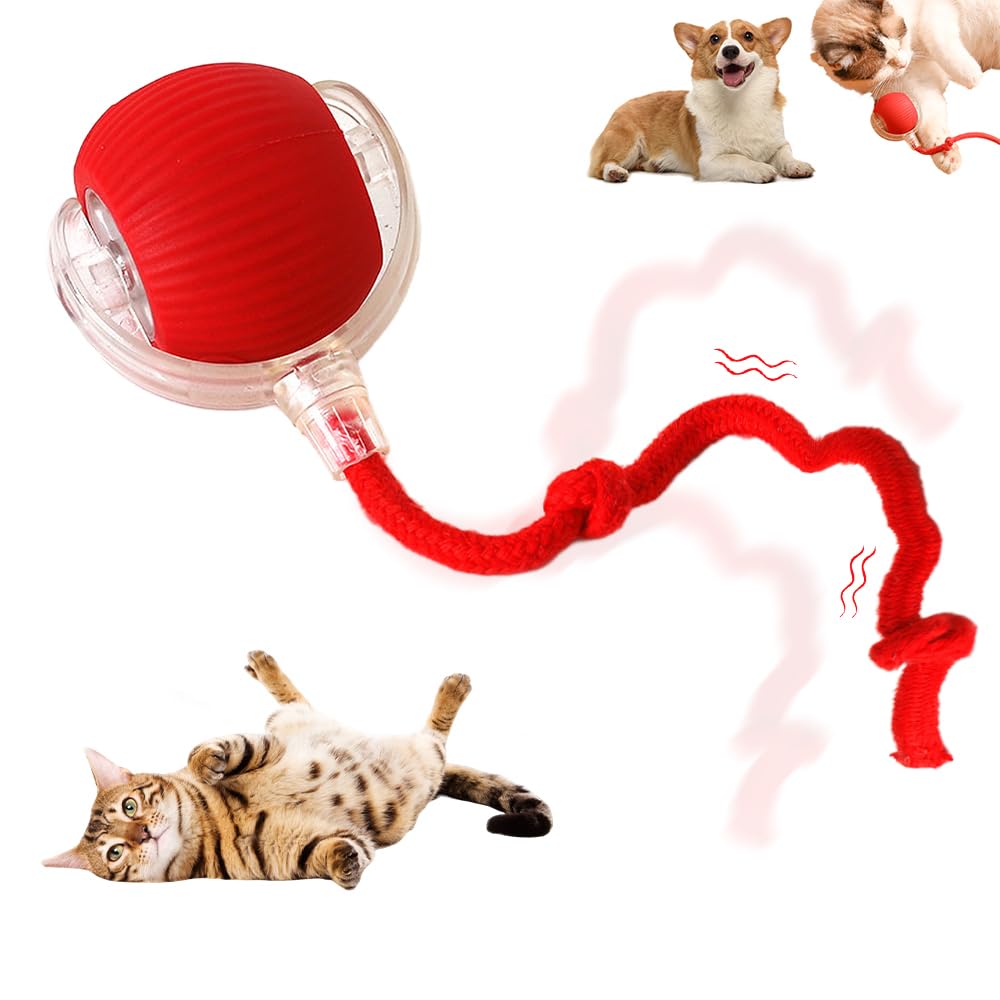 ROWPOZ Interactive Rolling Cat Dog Ball Toy 2025 New Automatic Interactive Cat Toys Self Moving Cat Toys 360