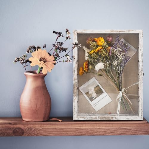 Image of Shadow Box with Shelves, White 12x16 Wooden Display Cases with Shelves for Miniatures Keepsake Collectibles, Coins Military Medals Pins Wedding Flowers
