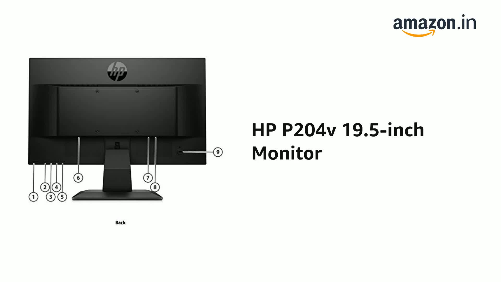 HP P204v 49.53 cm (19.5-inch) Monitor 