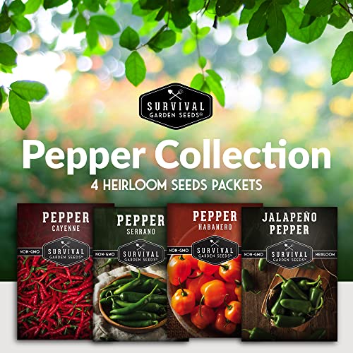 Hot Pepper Seeds Variety Pack for Planting | 4 Varieties: Jalapeno, Serrano, Cayenne & Habanero – Spicy Heirloom Chili Peppers for Hot Sauce & Salsa – Non-GMO – Survival Garden Seeds - Image 2