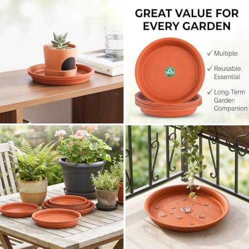Image of TrustBasket UV Treated Bottom Tray(Plate /Saucer) Suitable for 6 inch Plastic Pot - Terracotta Color - Set of 12