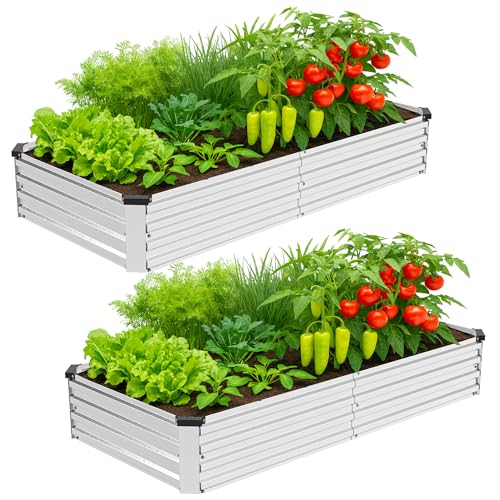 Bujijun 2 Pack 8x4x1FT Galvanized Metal Raised Garden Bed Kit for Vegetables Herbs Open-Bottom Large Capacity Outdoor Planter Box Gardening Stakes Silver
