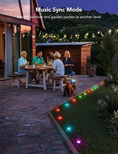 Govee Outdoor Ground Lights, RGBICWW Pathway Garden Lawn Lights, 24 Pack IP67 Waterproof, Smart App WiFi Control Walkway Lights with 43 Scene Modes