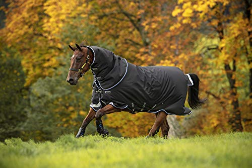 Horseware® Amigo® Bravo 12 Plus Turnout (250g Medium)