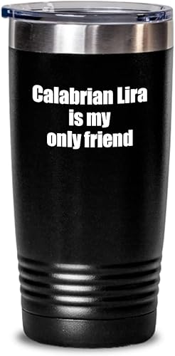 Funny Calabrian Lira Tumbler Is My Only Friend Quote Musician Gift For Instrument Player Insulated Cup With Lid Black 20 Oz