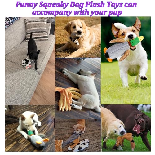 Jouets pour chiens à mâcher sans mousse pour préserver la sécurité - 7