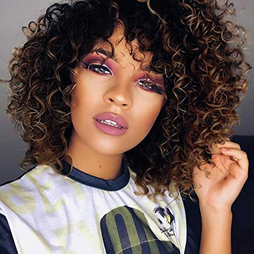 Sidaila Short Wigs for Black Women Synthetic Female African Curly Black Wig Heat Resistant Fiber