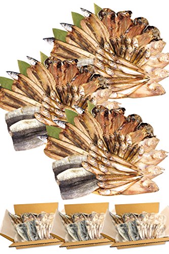 おまかせ 干物 味噌漬け 一夜干し 4種以上 1kg×3セット 訳あり (身割れ,尾なし等) 干物セット【冷凍】越前宝や