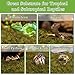 Halatool 9OZ Natural Sphagnum Moss for Reptiles- 14QT Green Live Moss for Terrarium Plants Long Fiber Reptile Moss for Leopard Gecko Snake Hamsters Tortoises Frogs Lizards Salamanders