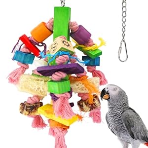 MQUPIN Parrot Toys Bird Chewing Toys, Natural Nuts seashell Loofah Wooden Bird Cage Toy for Small to Medium Birds Macaws, Cockatoos, African Greys, Amazon Parrots,Cockatiels, Lovebirds, Budgies