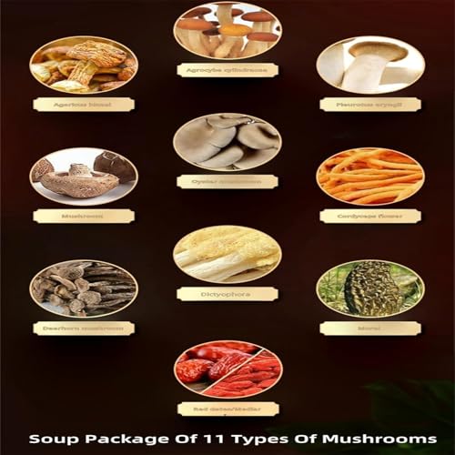 Generic Soup Package Of 11 Types Of Mushrooms thumb #3