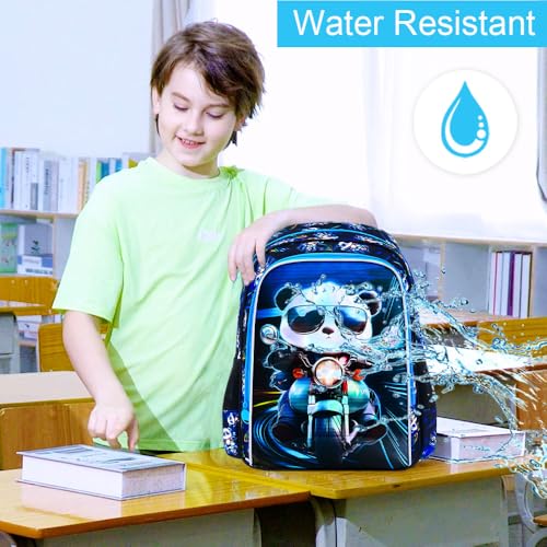 Image of 3PCS Dinosaur Backpack for Boys, 16 Inch Kids Water Resistant Preschool Elementary Kindergarten Bookbags and Lunch Box | Kids