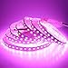 LEDENET RGBW LED Strip Lights RGB+Warm White(2800K-3200K) 360LEDs SMD 5050 DC 24V Multi-Colored LED Tape Lights Flexible LED Rope Lighting 16.4Ft Non-Waterproof for Bedroom Kitchen Decoration