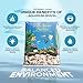 Pure Water Pebbles Cumberland River Aquarium Gravel - 25 lbs - Non-Toxic, Colorfast, Vibrant Substrate for Aquariums, Terrariums, Ponds & Crafts