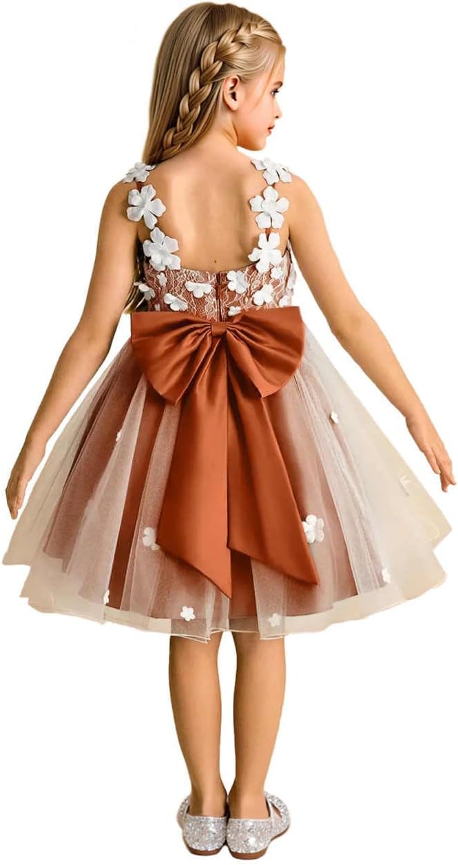Girls Lace Flower Girl Dress 3D Floral Sleeveless Tulle Princess Wedding Pageant Party Dresses with Big Bow