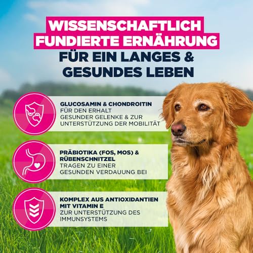 Eukanuba Senior Hundefutter mit Lamm und Reis für große Rassen - Premium Trockenfutter für ältere Hunde, 12 kg