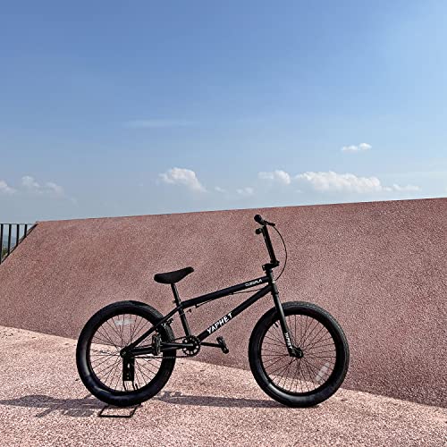 Freestyle BMX Bike, 20 Inch Yaphet Bicycle for Teen Beginner