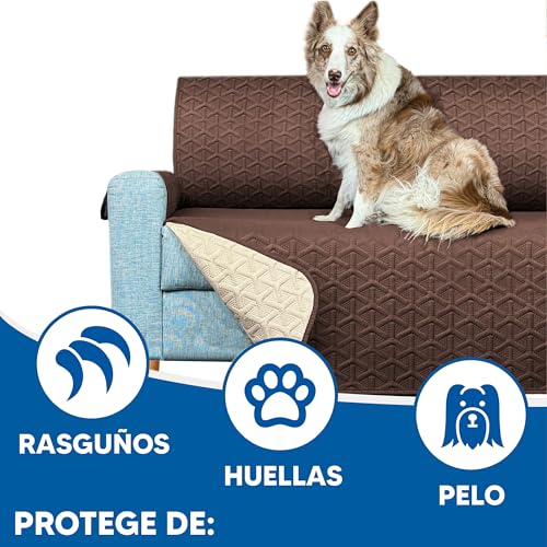 Recopilación de Juegos de sofás los mejores 5. 30 Imagen adicional