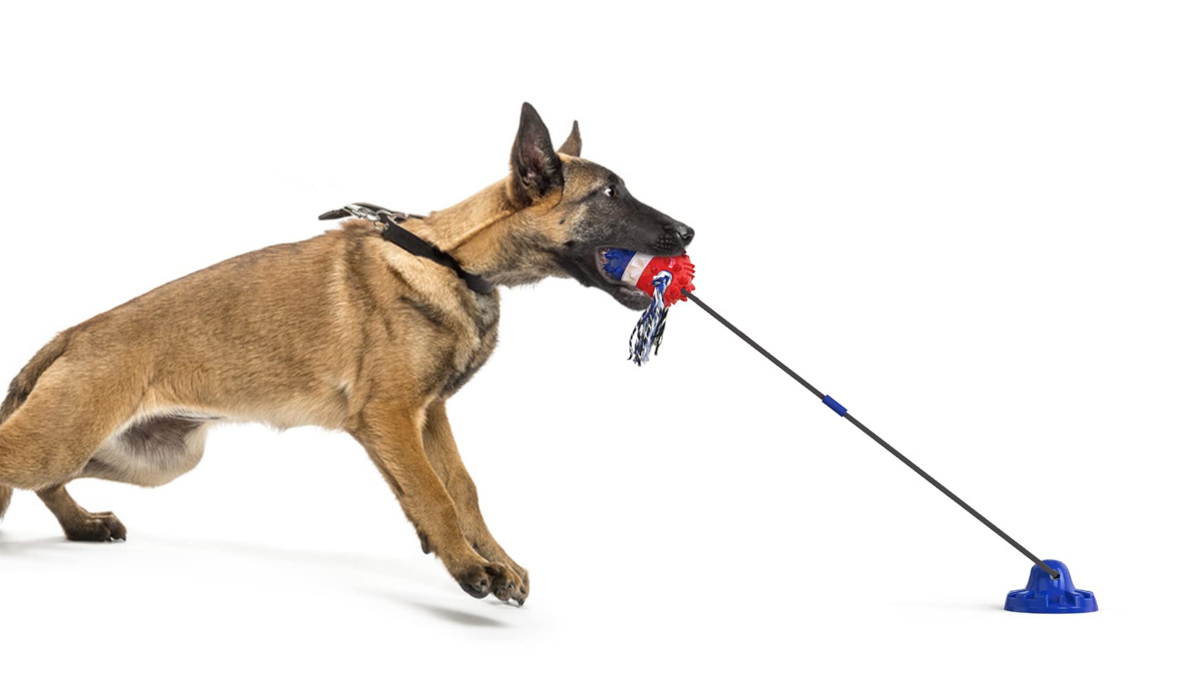 Juguete para perros con ventosa, rompecabezas interactivo para tirar de la guerra, juguete para mascotas, bola chirriante con cuerda de algodón para masticadores agresivos medianos y grandes