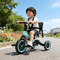 Amazon.co.jp: 三輪車 1歳-5歳用 一台4役 | 手押し棒付き かじとり機能