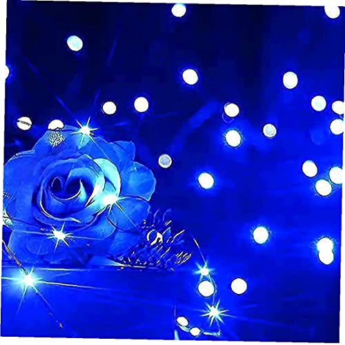 Snaar licht waterdichte afstandsbediening 10m 100 LED Cooper draad fairy lamp (geen batterij) 2 stks blauw - Image 6
