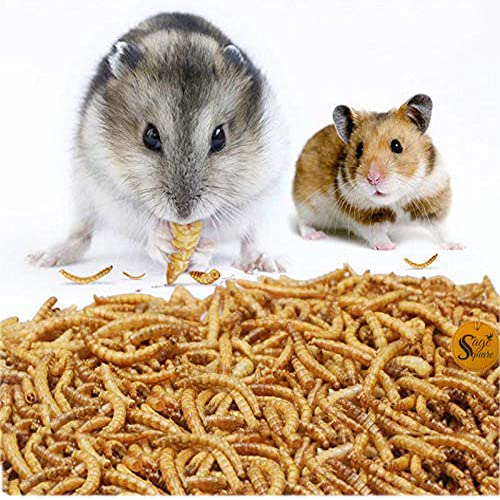 Sage Square Healthy Natural Organic Dried Mealworm Treat for Hamster, Dwarf, Sugar Glider, Dwarf