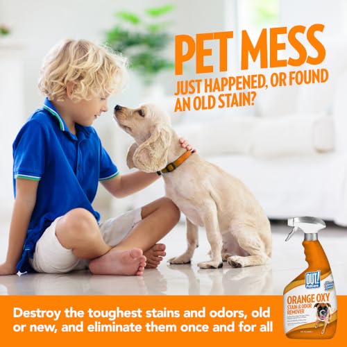 Image of OUT! PetCare Orange Oxy Stain & Odor Remover | Oxy Clean Pet Stain and Odor Eliminator | 32 oz (Pack of 2)