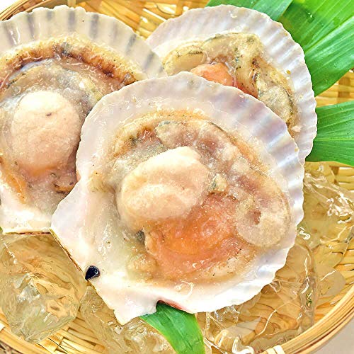 シーフード本舗 ホタテ片貝 20枚 殻付き 北海道産 BBQ 浜焼き 帆立 ほたて 片貝 貝柱 バーベキュー の商品画像 4