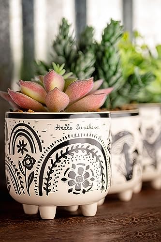 Karma, Boho Footed Pot, Artificial Succulents in Ceramic Pots, Desk Decor, Office Plants, Succulent Décor, Bee
