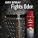 Old Spice Antiperspirant Spray for Men, 24/7 Sweat & Odor Protection, 24/7 Signature Scent & Lasting Freshness, Lightweight Formula, Easy Application, Legacy with Coconut, Pine & Cedar Scent, 4.3 oz